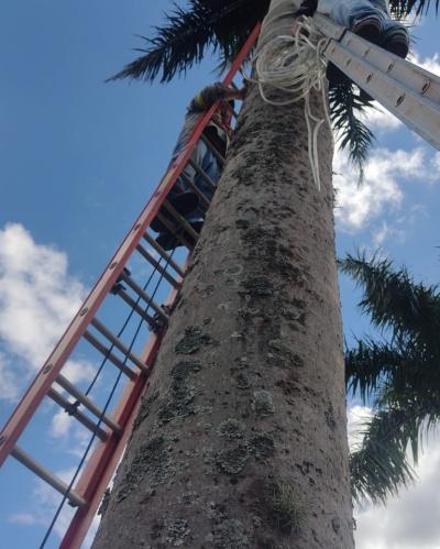 Preparativos para o Natal iniciam na PraÃ§a da Matriz Santâ€™Ana